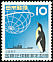 Emperor Penguin Aptenodytes forsteri