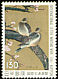 Oriental Turtle Dove Streptopelia orientalis  1981 International correspondence week 