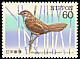 Marsh Grassbird Helopsaltes pryeri  1984 Endangered birds 