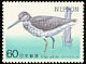 Nordmann's Greenshank Tringa guttifer  1984 Endangered birds 