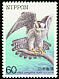 Peregrine Falcon Falco peregrinus  1984 Endangered birds 
