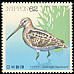 Latham's Snipe Gallinago hardwickii  1991 Water birds 