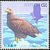 White-tailed Eagle Haliaeetus albicilla  1993 Water birds 