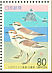 Kentish Plover Charadrius alexandrinus  1994 Kentish Plover and Futamiura beach Booklet