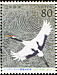 Red-crowned Crane Grus japonensis  2001 Internet Fair 2001 