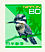 Crested Kingfisher Megaceryle lugubris  2002 Definitives Booklet, sa
