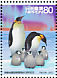 Emperor Penguin Aptenodytes forsteri  2007 Antarctic expedition 10v sheet