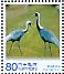 White-naped Crane Antigone vipio  2013 Anniversary for local government law (Kagoshima) 5v sheet