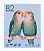 Rosy-faced Lovebird Agapornis roseicollis