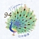 Indian Peafowl Pavo cristatus  2021 Greetings, celebration designs sa