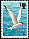 Common Tern Sterna hirundo  1975 Sea birds 