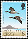 Brant Goose Branta bernicla  1975 Sea birds 