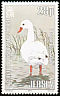 Coscoroba Swan Coscoroba coscoroba  1984 Jersey Wildlife Preservation Trust 6v set