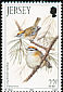 Common Firecrest Regulus ignicapilla  1992 Winter birds 