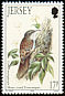 Short-toed Treecreeper Certhia brachydactyla  1993 Summer birds 