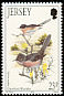 Dartford Warbler Curruca undata  1993 Summer birds 