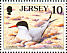 Common Tern Sterna hirundo  1997 Seabirds and waders Sheet