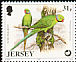 Echo Parakeet Psittacula eques  1997 Jersey Wildlife Preservation Trust 