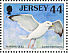 European Herring Gull Larus argentatus  1998 Seabirds and waders Sheet