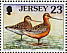 Bar-tailed Godwit Limosa lapponica  1999 Seabirds and waders Sheet