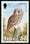 Tawny Owl Strix aluco  2001 Birds of prey 