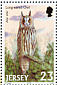 Long-eared Owl Asio otus  2001 Birds of prey Booklet