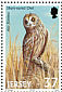 Short-eared Owl Asio flammeus  2001 Birds of prey Booklet