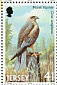 Western Marsh Harrier Circus aeruginosus  2001 Birds of prey Booklet