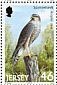 Eurasian Sparrowhawk Accipiter nisus  2001 Birds of prey Booklet