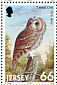Tawny Owl Strix aluco  2001 Birds of prey Booklet