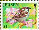 House Sparrow Passer domesticus  2007 Garden birds 