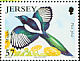 Eurasian Magpie Pica pica  2007 Garden birds 