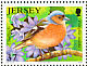 Common Chaffinch Fringilla coelebs  2007 Garden birds Sheet