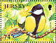 Great Tit Parus major  2007 Garden birds Sheet