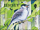 Eurasian Blackcap Sylvia atricapilla  2009 Song birds Sheet