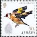 European Goldfinch Carduelis carduelis  2018 Links with China 
