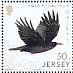 Red-billed Chough Pyrrhocorax pyrrhocorax  2018 Links with China Sheet