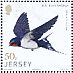 Barn Swallow Hirundo rustica  2018 Links with China Sheet