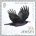 Red-billed Chough Pyrrhocorax pyrrhocorax  2018 Links with China Sheet