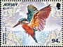 Common Kingfisher Alcedo atthis  2019 Birds 