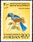 Palestine Sunbird Cinnyris osea  1970 Birds 