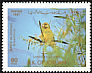 European Greenfinch Chloris chloris  1987 Birds 