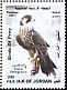Peregrine Falcon Falco peregrinus  2003 Birds of prey 