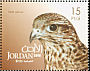 Saker Falcon Falco cherrug  2009 Birds 