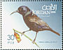 Palestine Sunbird Cinnyris osea  2009 Birds 