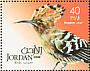 Eurasian Hoopoe Upupa epops  2009 Birds 