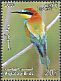 European Bee-eater Merops apiaster  2014 Migratory birds 