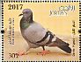 Rock Dove Columba livia  2017 Birds native to Jordan Sheet