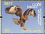 Long-legged Buzzard Buteo rufinus  2017 Birds native to Jordan Sheet