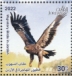 Steppe Eagle Aquila nipalensis  2023 Migratory birds Sheet